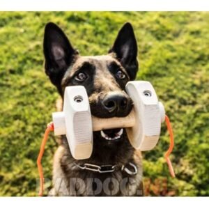 Alternative view of Knut Fuchs Havatar apporteerblok