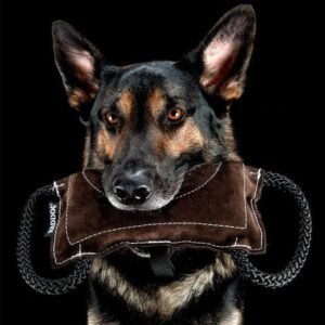 Alternative view of RADDOG bijtkussen leer GLOBUS 25 x 12cm