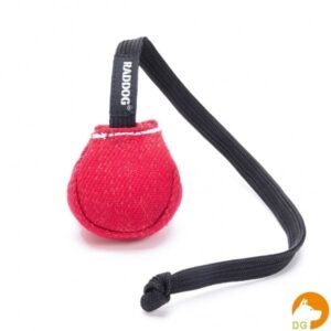 RADDOG bijtbuidel met koord