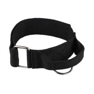 RADDOG Nylon halsband met handvat