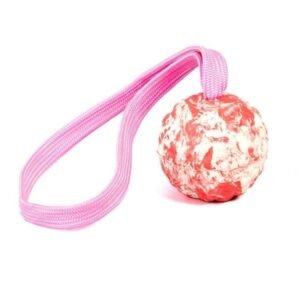 RADDOG harde bal met lus Ø 6cm