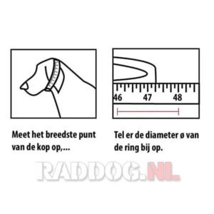 Alternative view of Schakelketting RVS met grote schakel